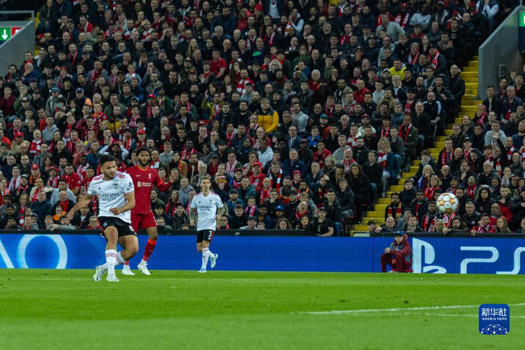 包含明尼苏达森林狼迎葡超关键赛；国际比赛日强势反弹；态度坚定；赛程密集仍需轮换的词条